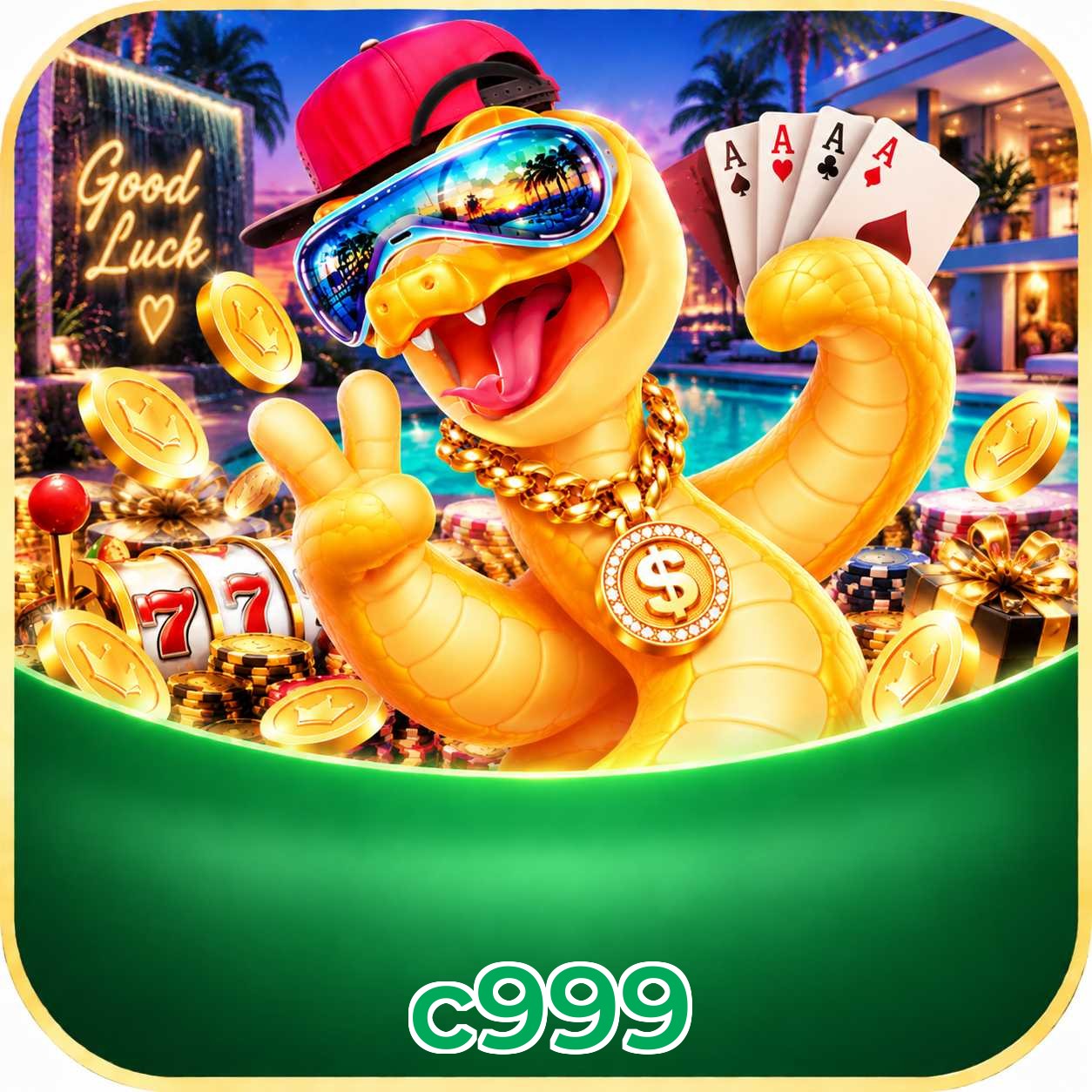 c999 Métodos de Login