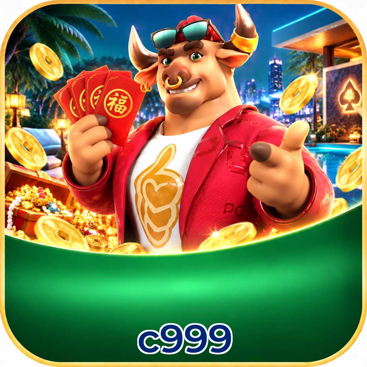 c999 Installation Guide